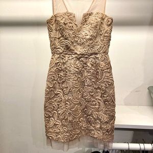 BCBG MaxAzaria Floral Appliqué Dress w/ Mesh Detail. Size 2, Taupe